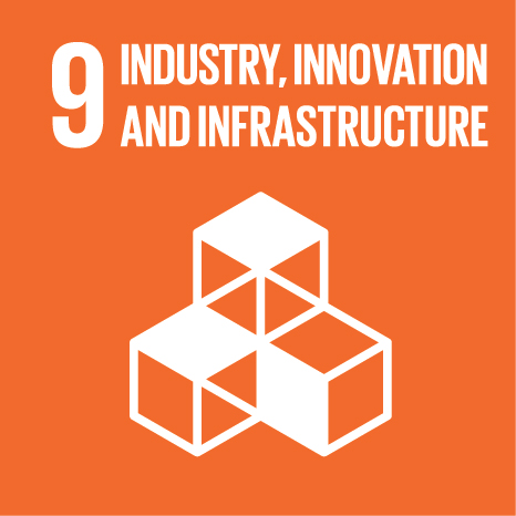 United Nations Sustainable Development Goal 9: Industry, Innovation and Infrastructure